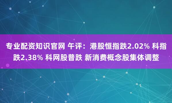 专业配资知识官网 午评：港股恒指跌2.02% 科指跌2.38% 科网股普跌 新消费概念股集体调整