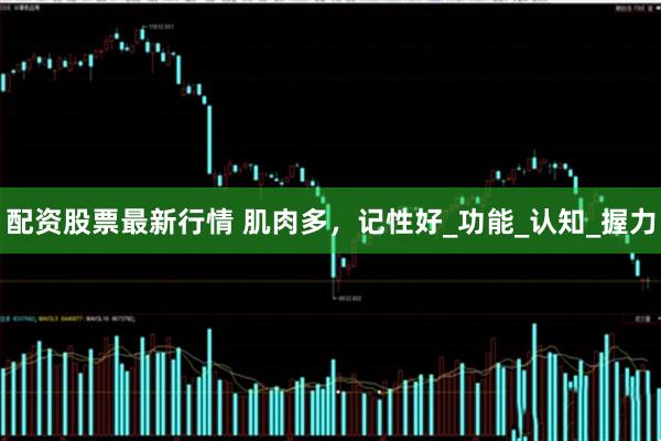 配资股票最新行情 肌肉多，记性好_功能_认知_握力