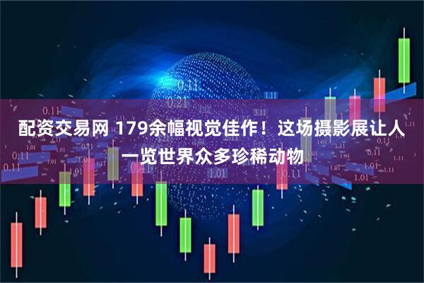 配资交易网 179余幅视觉佳作！这场摄影展让人一览世界众多珍稀动物