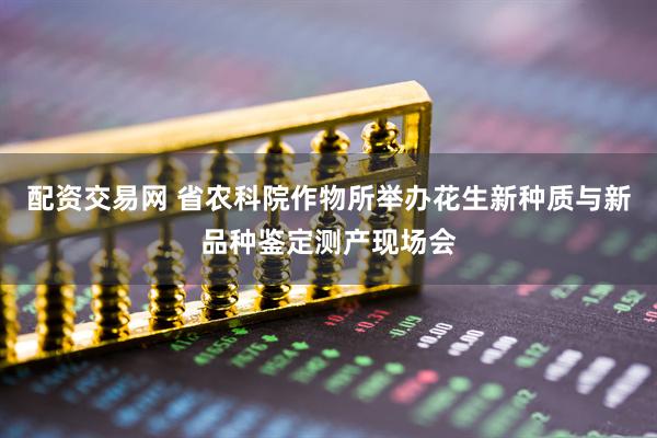 配资交易网 省农科院作物所举办花生新种质与新品种鉴定测产现场会
