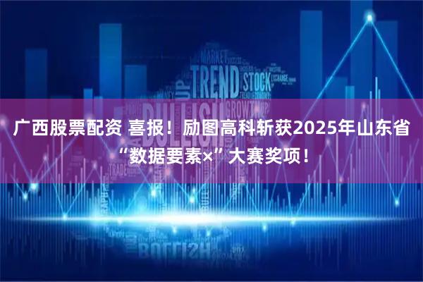 广西股票配资 喜报！励图高科斩获2025年山东省“数据要素×”大赛奖项！